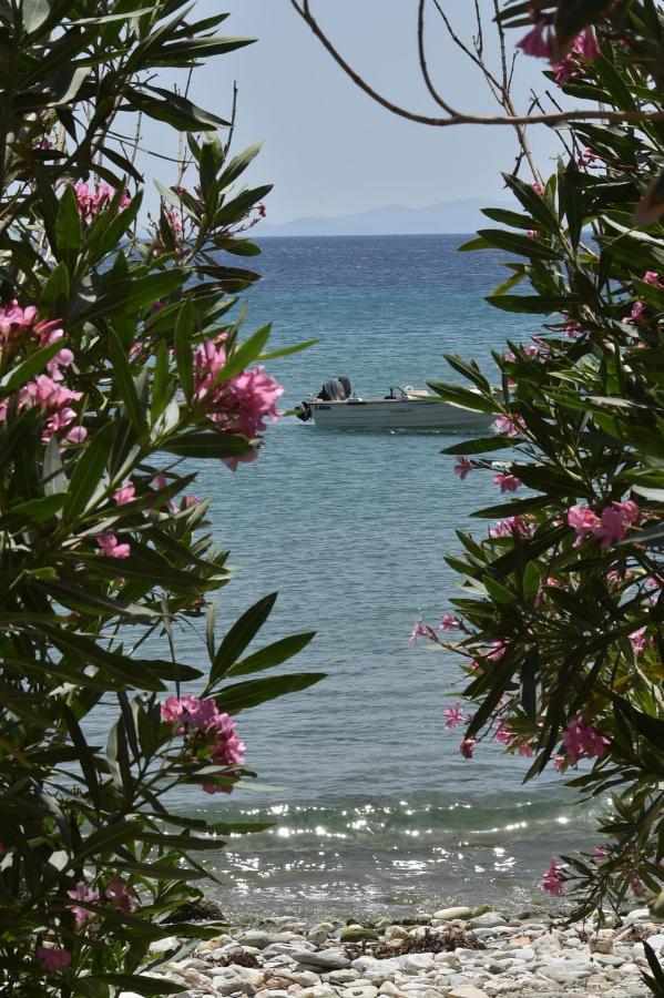 Seaside Home In Kardiani/Giannaki Bay - Agnes'S Home ภายนอก รูปภาพ